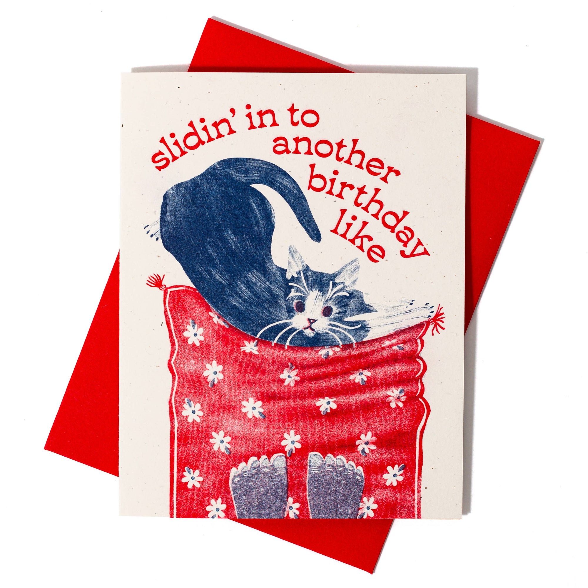 Birthday card with a cat in a blue hat and red blanket, text 'slidin' in to another birthday like', on a white background.