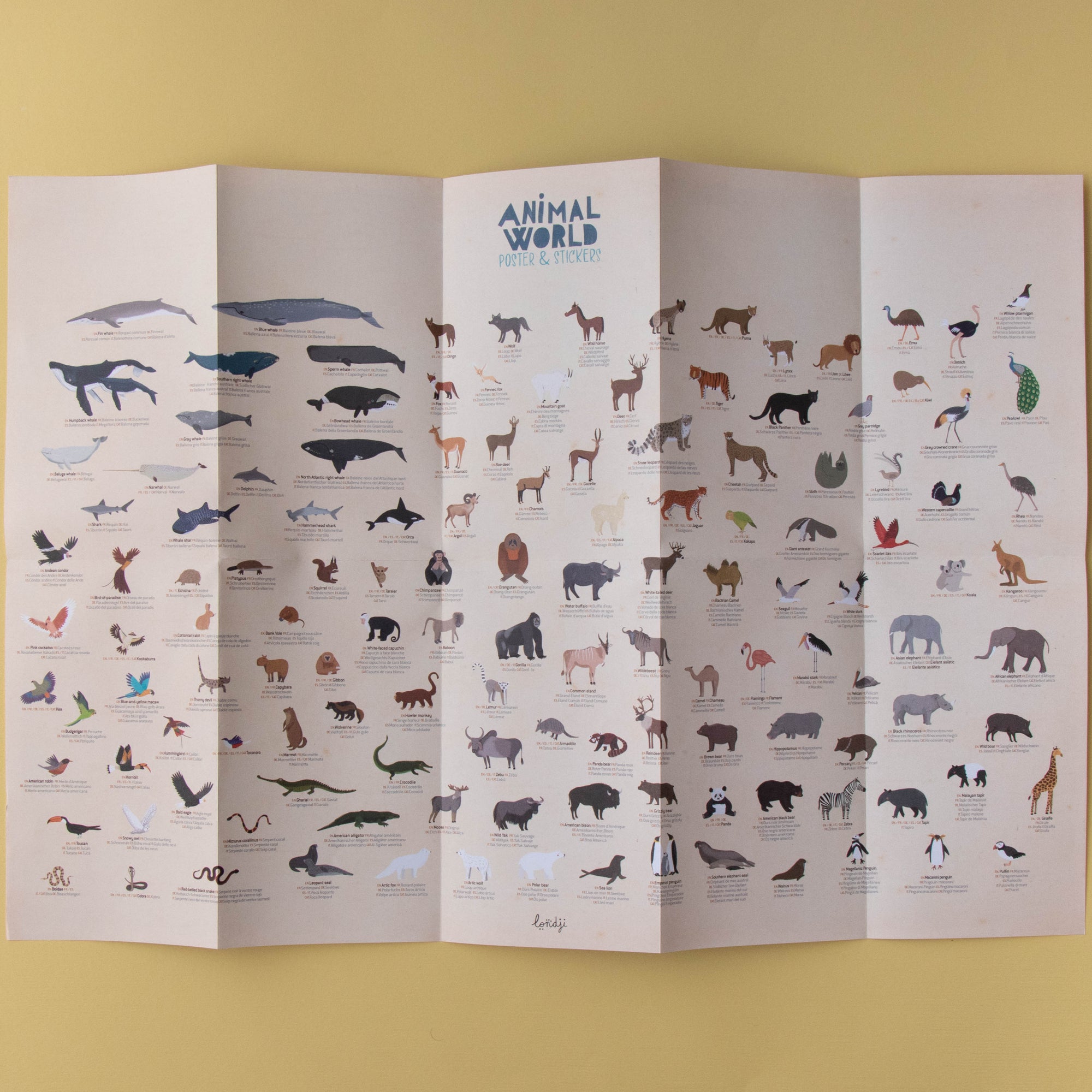 Folded educational poster of animals on a yellow background