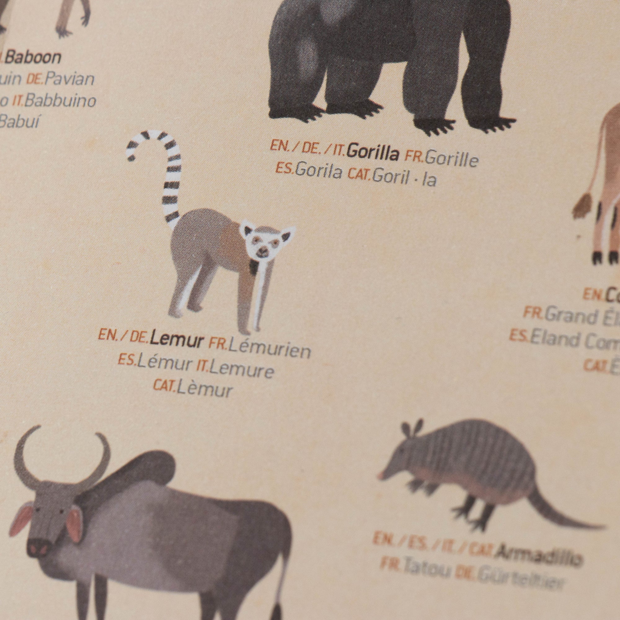 Illustrations of various animals on a beige background with text labels.
