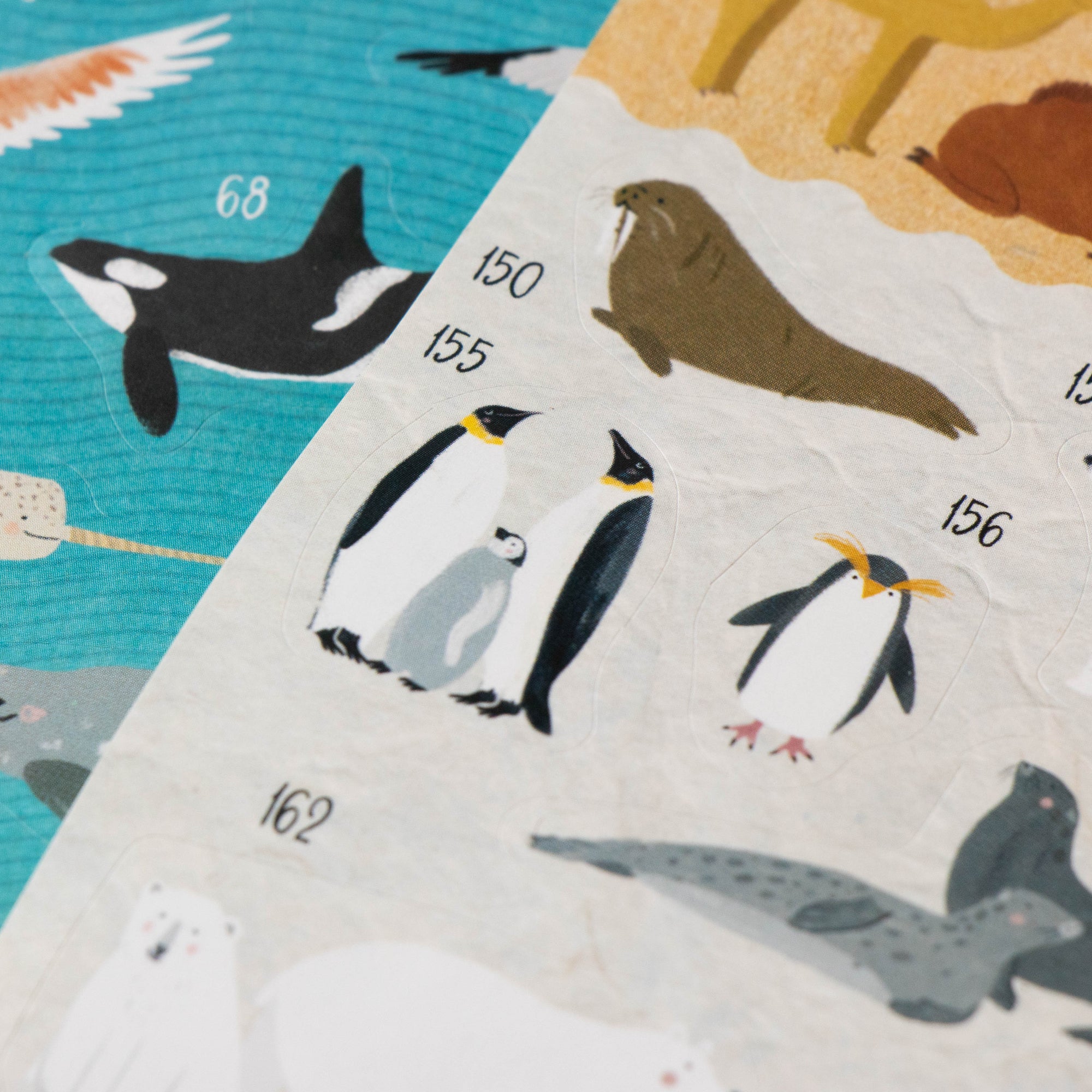 Children's educational chart with illustrations of Arctic animals and numbers.