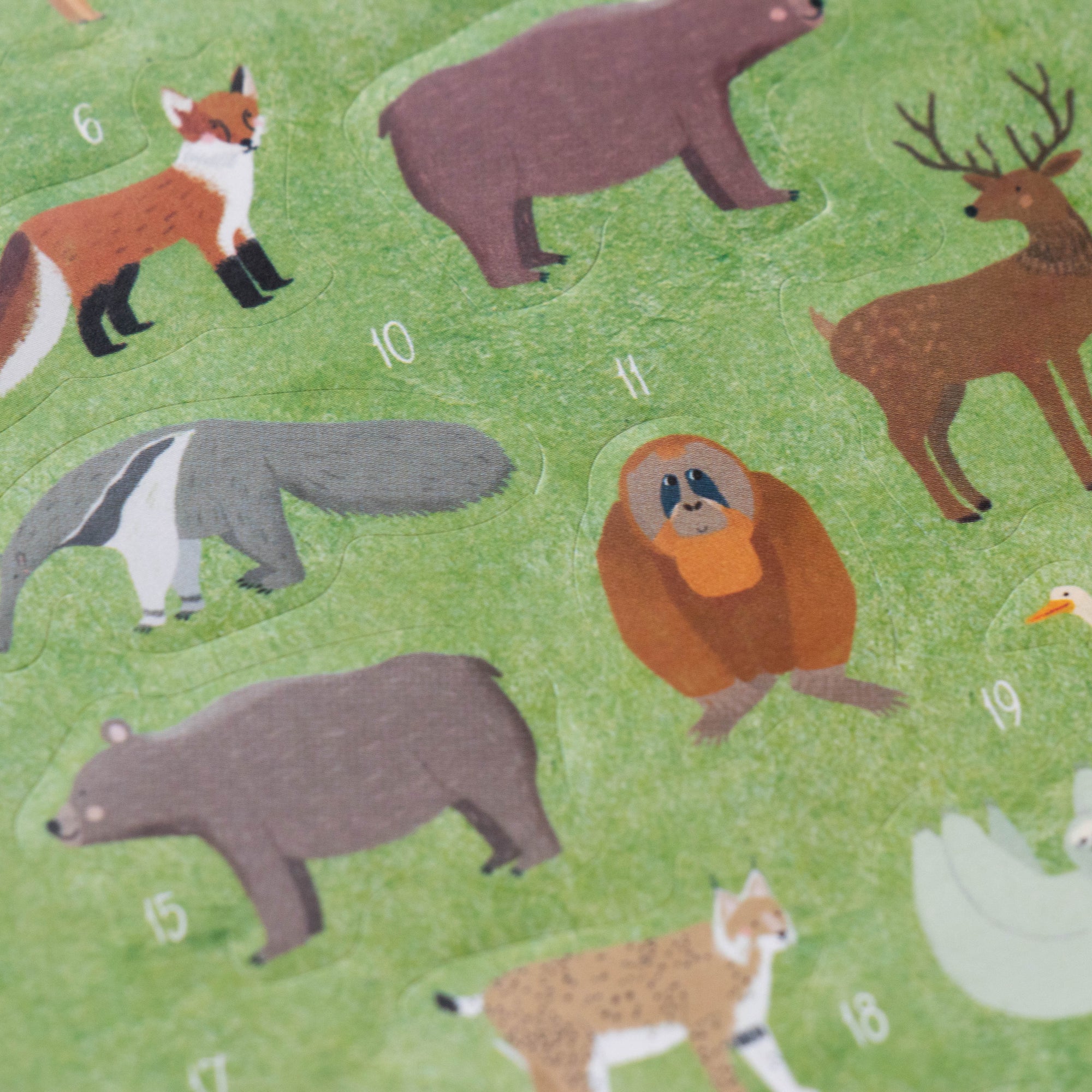 Pattern of various forest animals on a green background