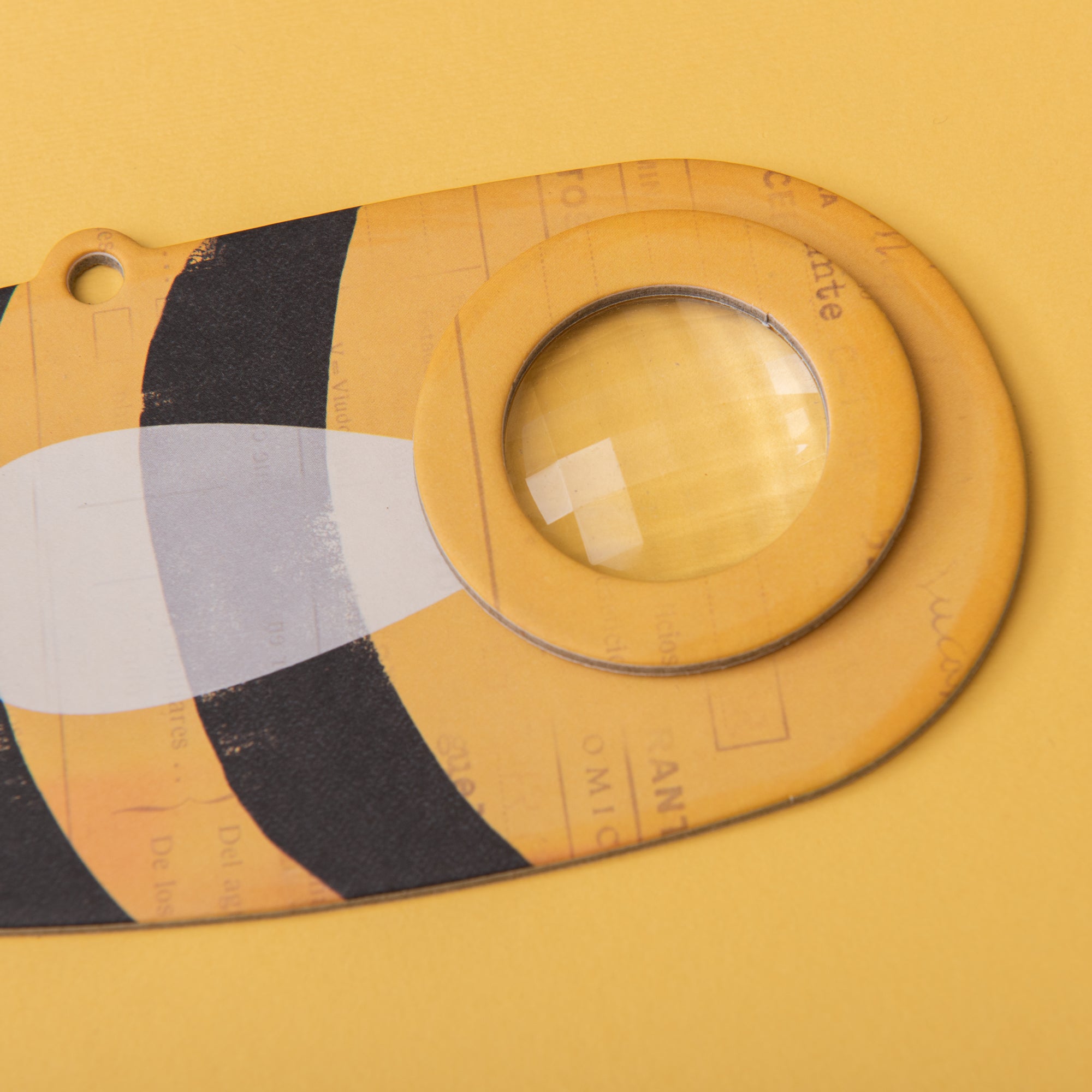 Bee Insects Eye Lens