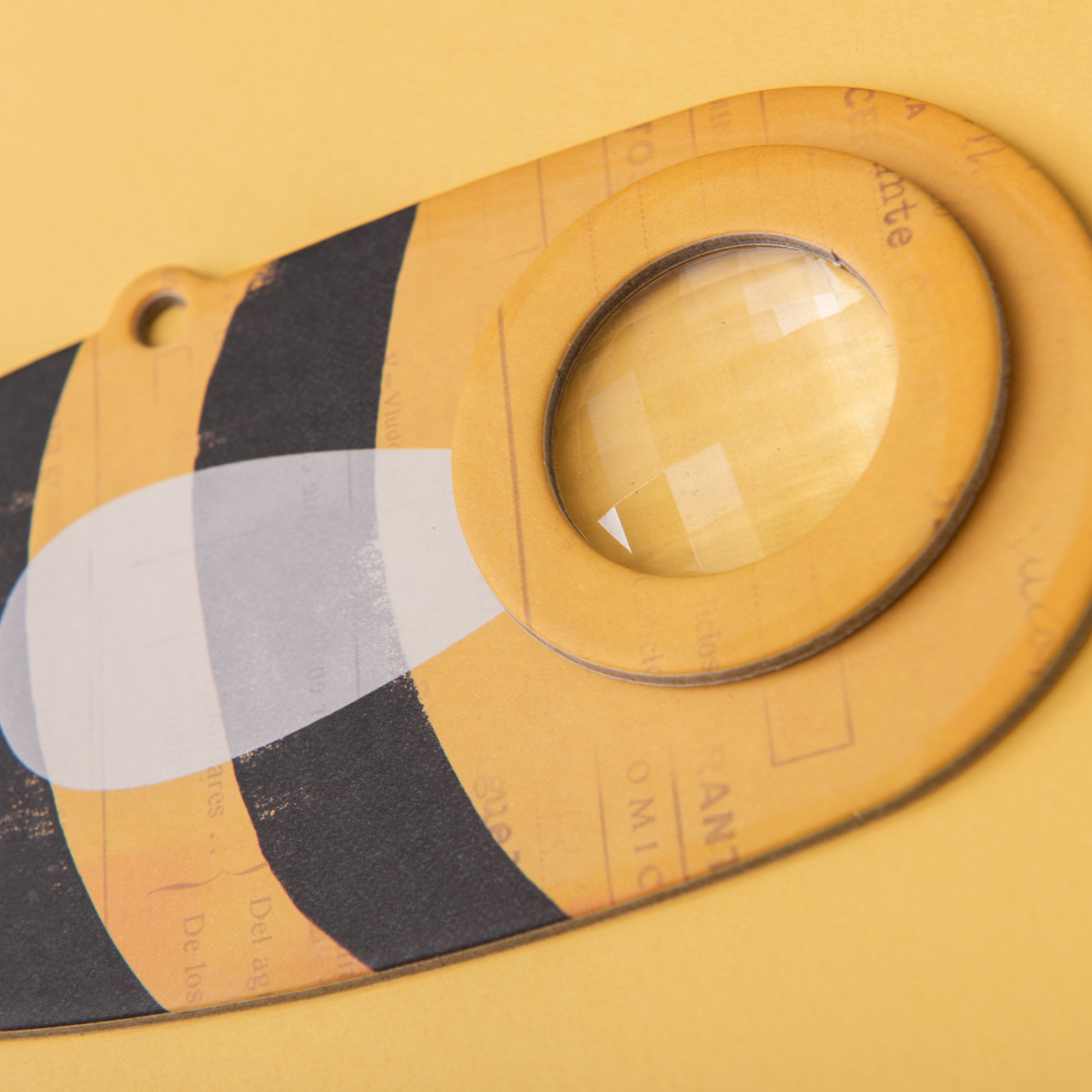 Bee Insects Eye Lens