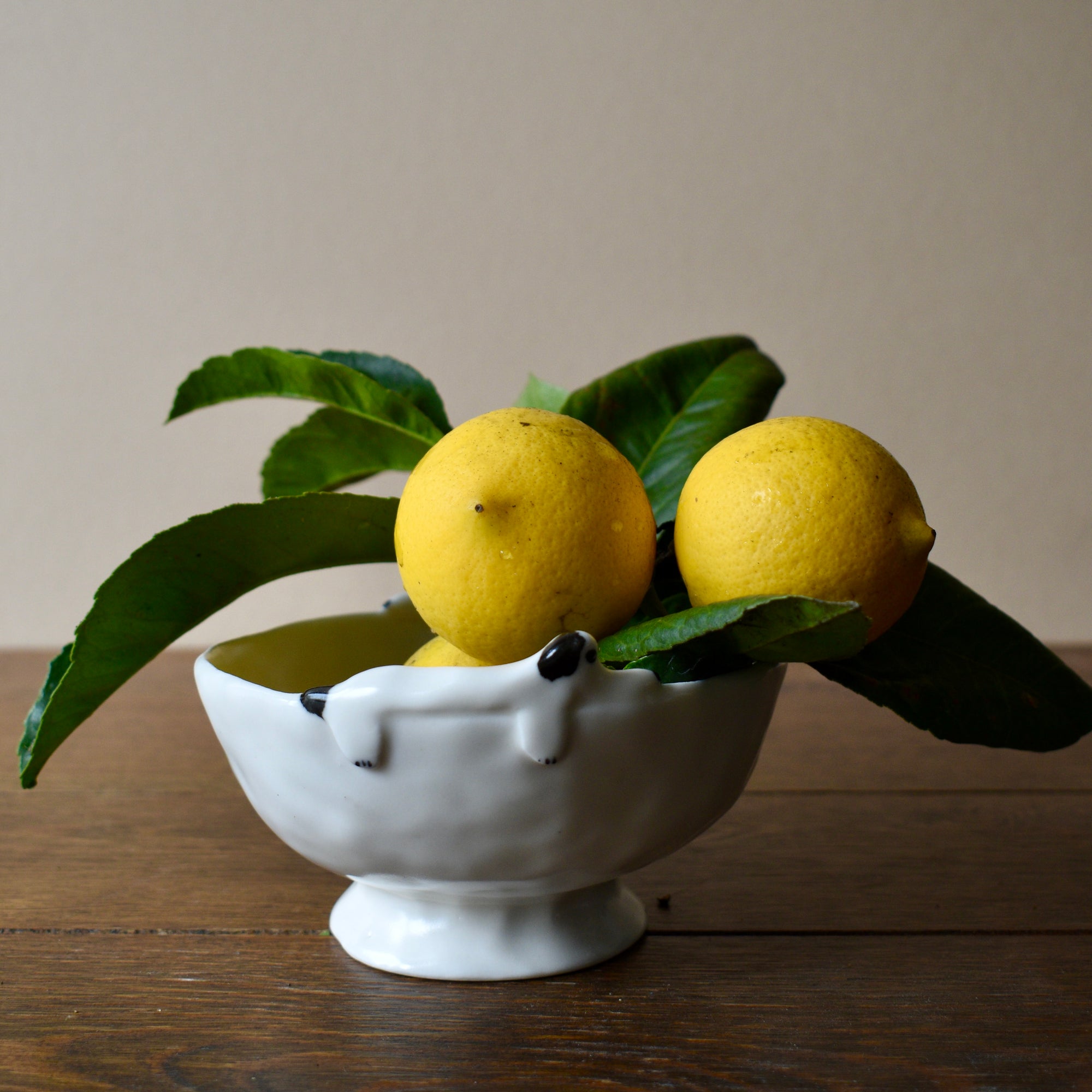 Dog Bowl -Eleonor Boström