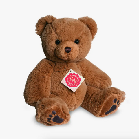 Brown Teddy Bear with Paws