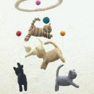 Mobile- Cat and Mouse