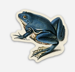 Exasperated Frog - Gap Filler Sticker