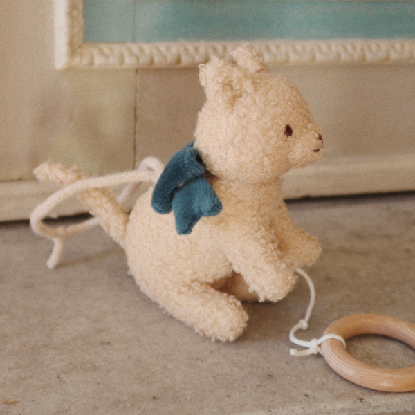 Musical Cat Activity Toy