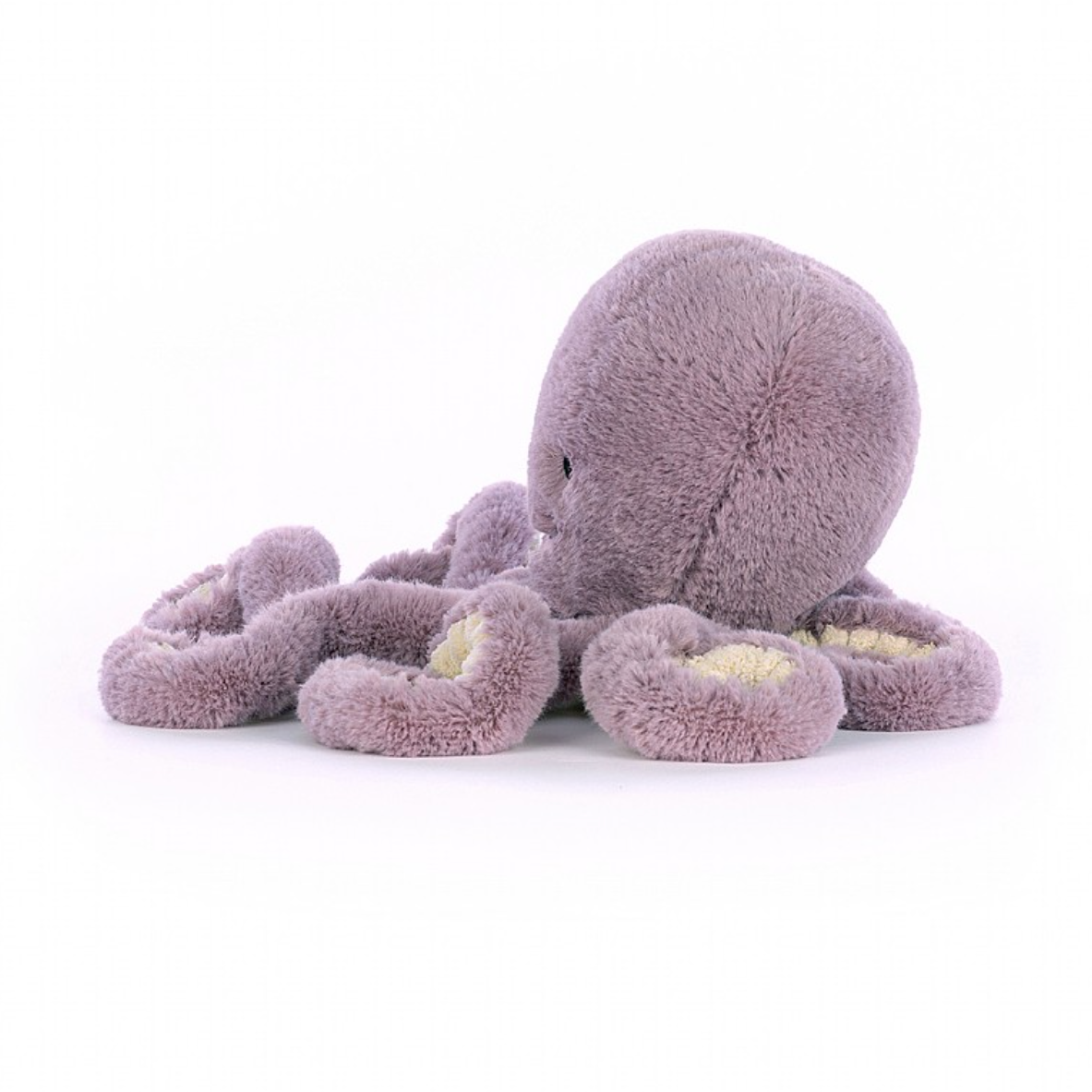 Maya Octopus -little