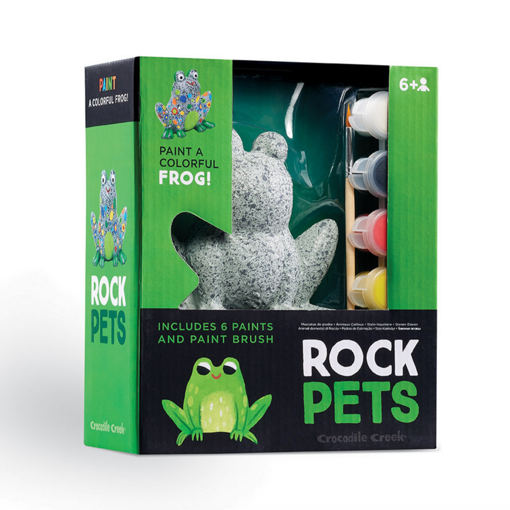 Crocodile Creek Rock Pets: Frog 6yrs+