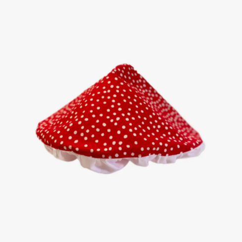 Mushroom Hat (2-8yrs)