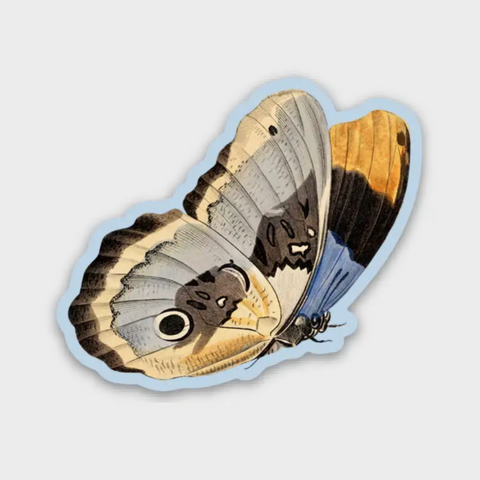 Unconcerned Butterfly - Gap Filler Sticker