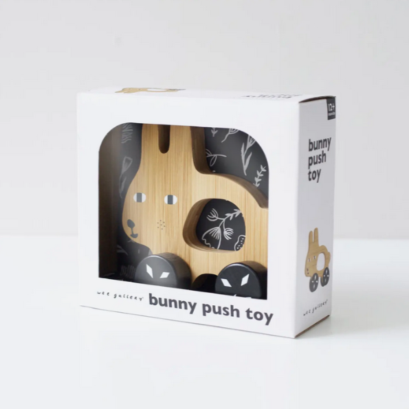 Push Toy - Bunny 1yrs+