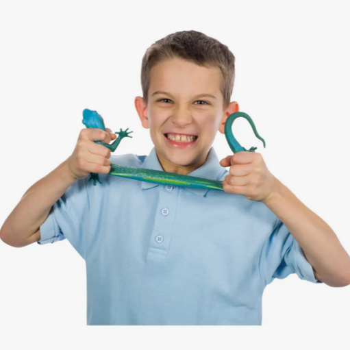 13" Lizard Squishimal