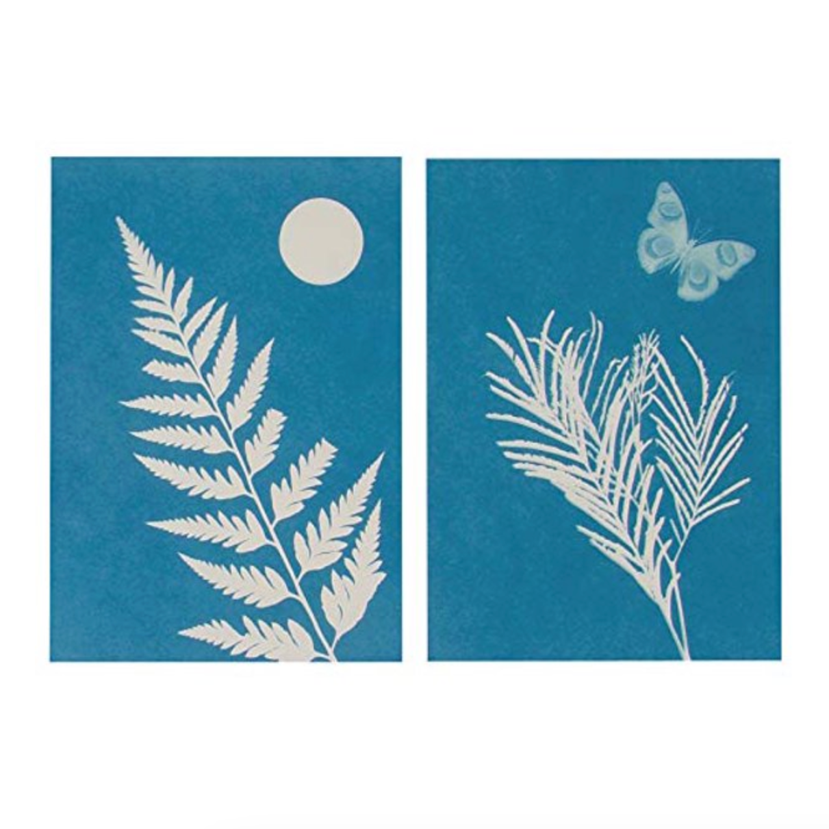 A package of Toysmith Solar Print Paper with two sheets showing a butterfly and some greenery on a blue background, with a moon and stars motif on the top sheet.