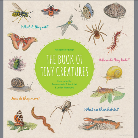 The Book of Tiny Creatures (5-9yrs)