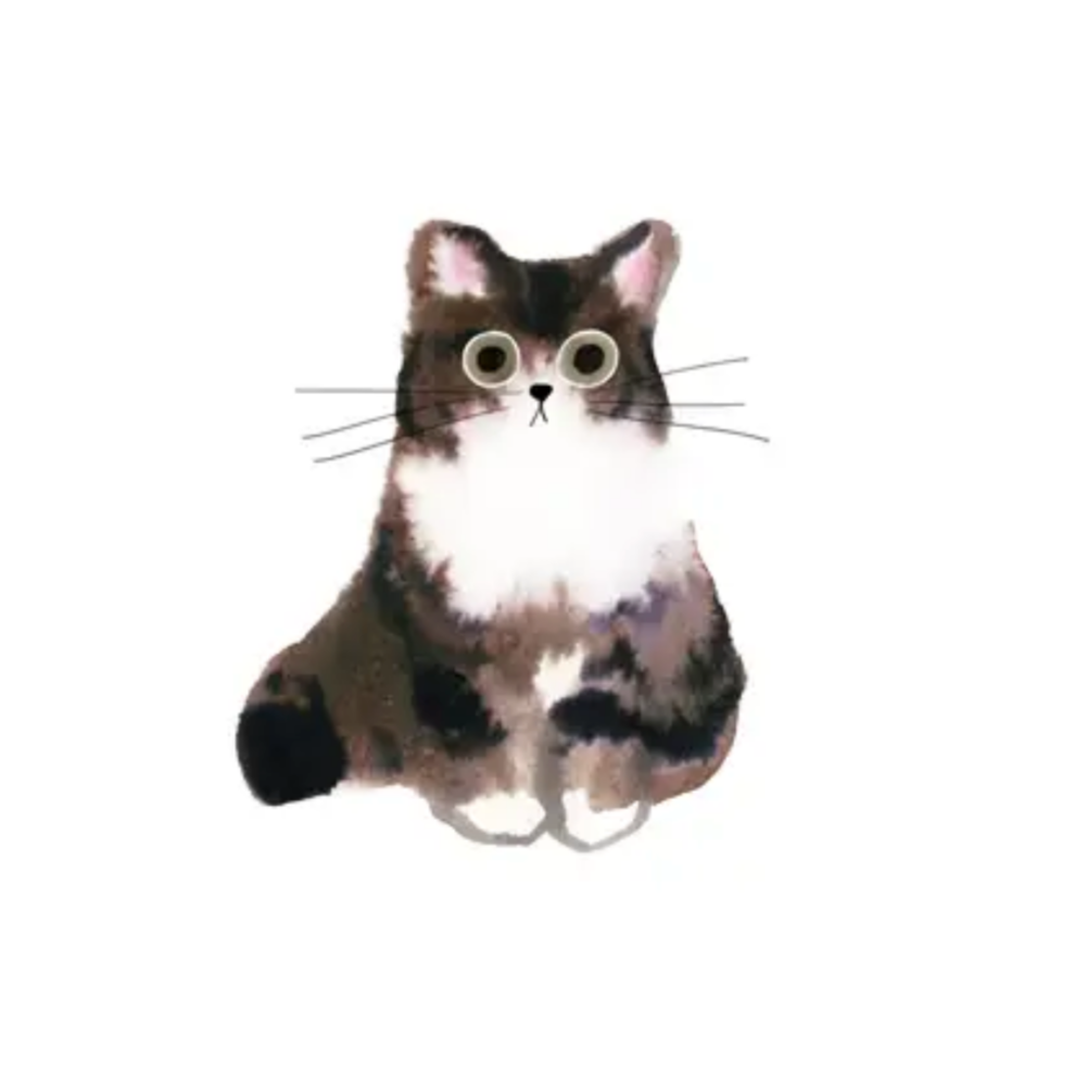 Curious Cat Tattoo Pair