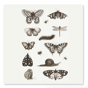 Insect Temporary Tattoos (144 pieces) - Only $3.06 at Carnival Source