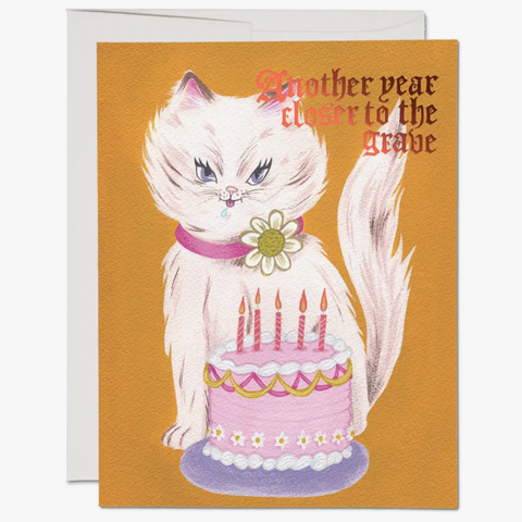 Kitty and Cake -birthday