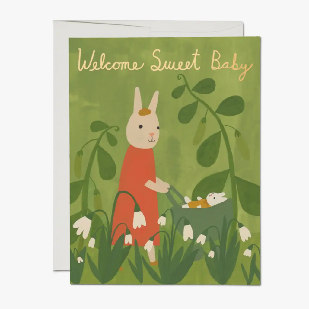 Sweet Bunny -baby