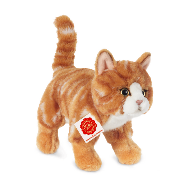 Cat Standing Red Tiger