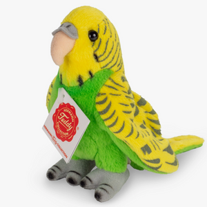 Green Budgie