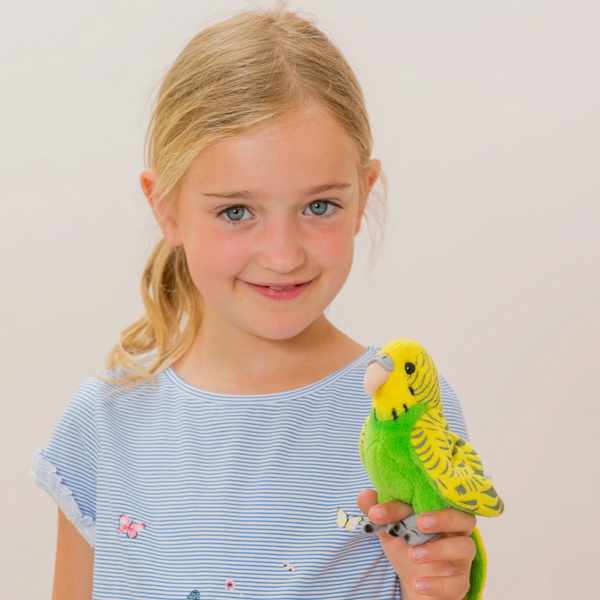 Green Budgie