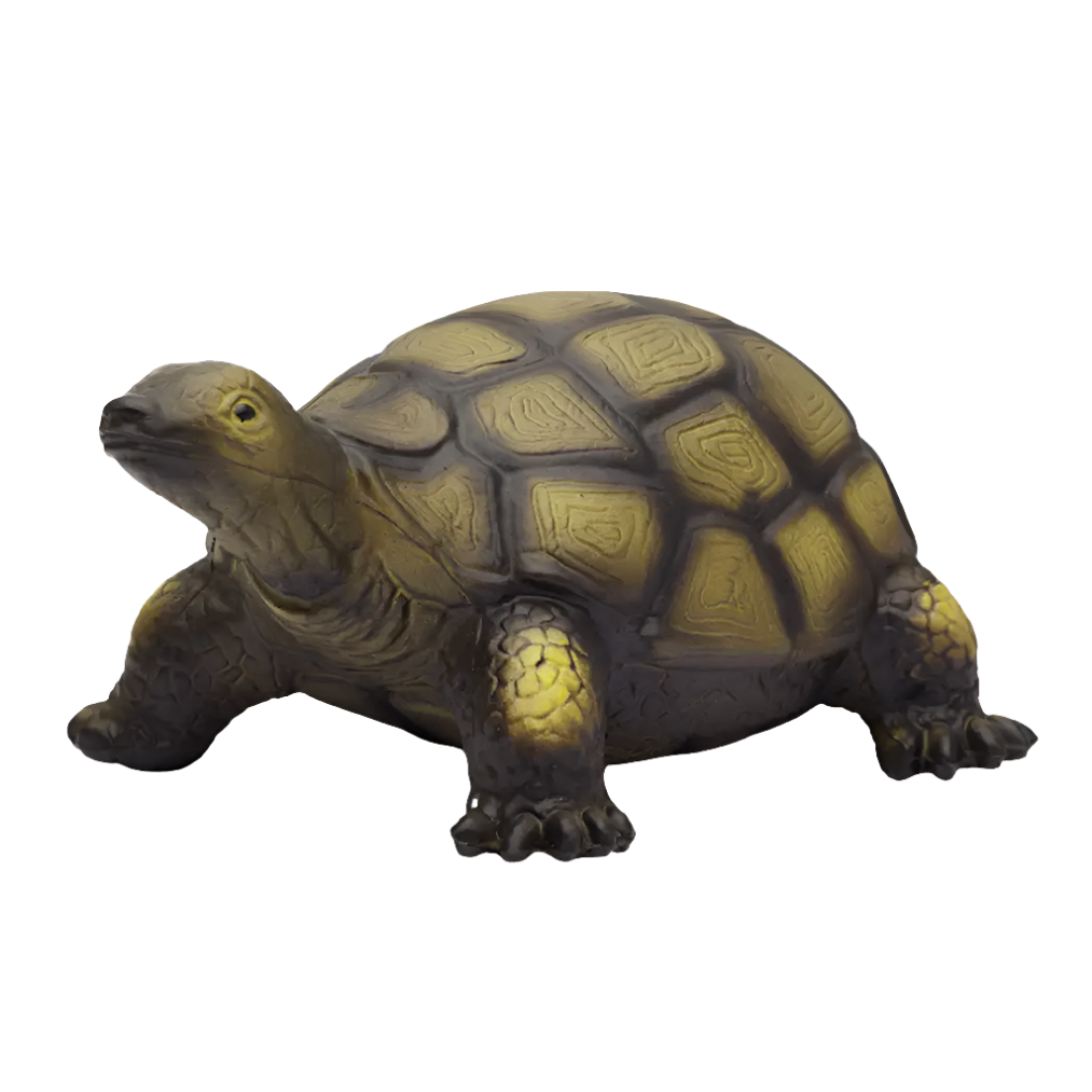 Organic Natural Rubber Tortoise