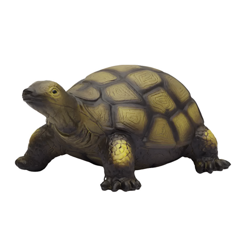 Natural Rubber Tortoise