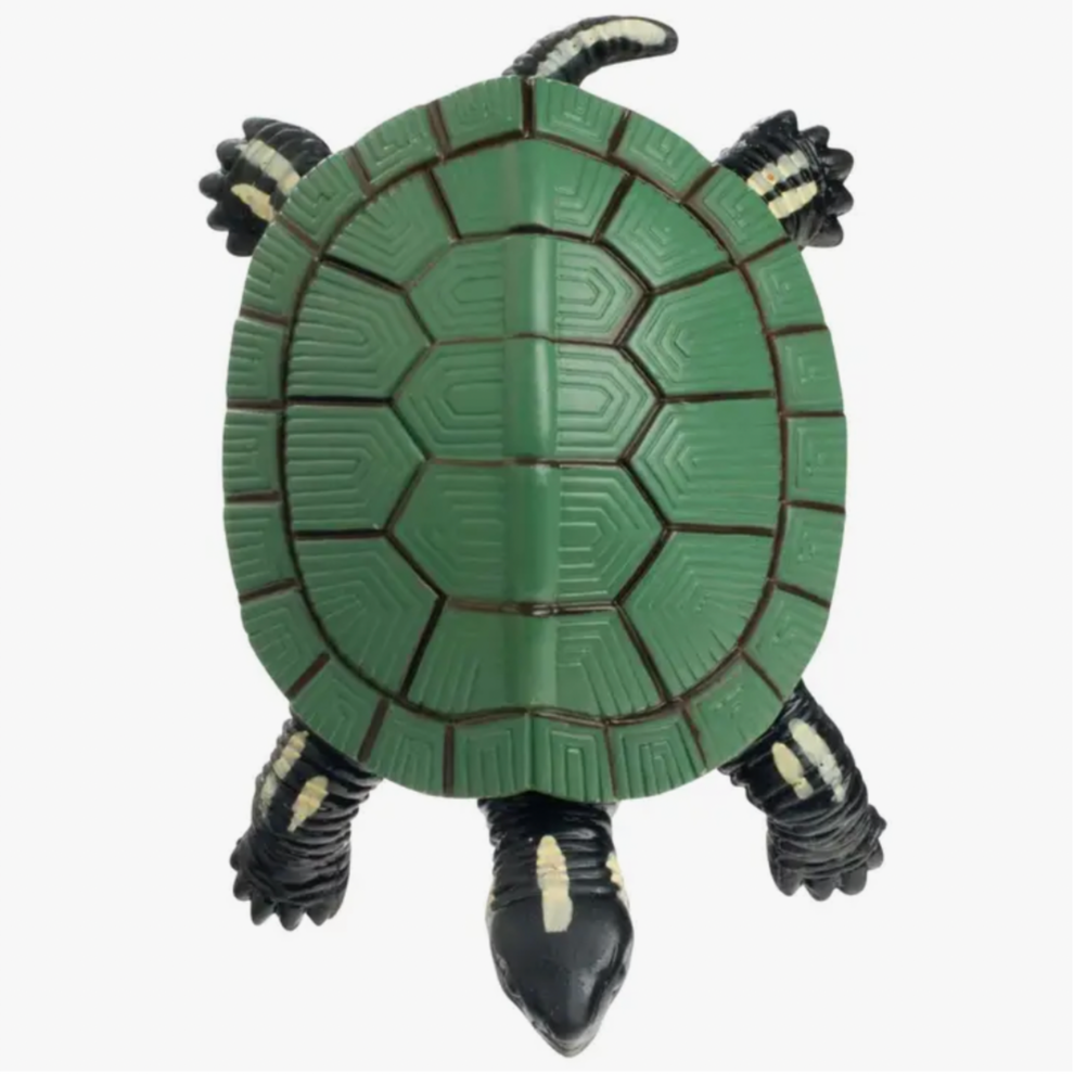 Turtle Squishamals