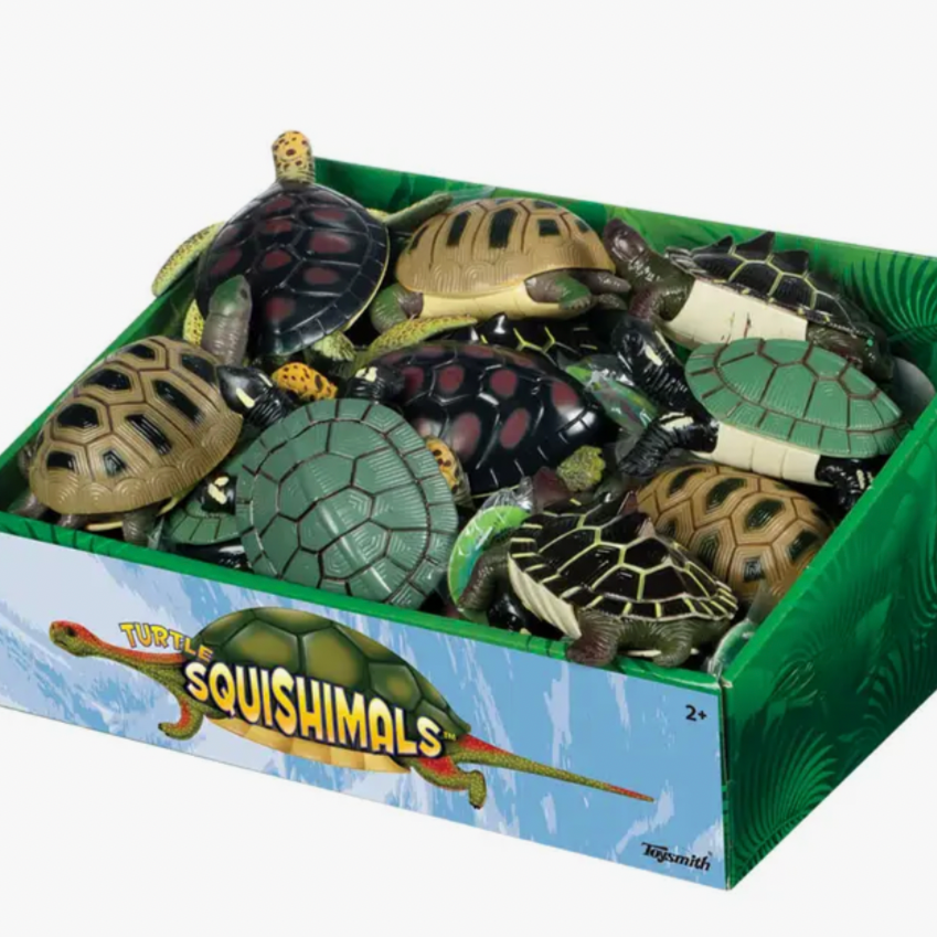 Turtle Squishamals