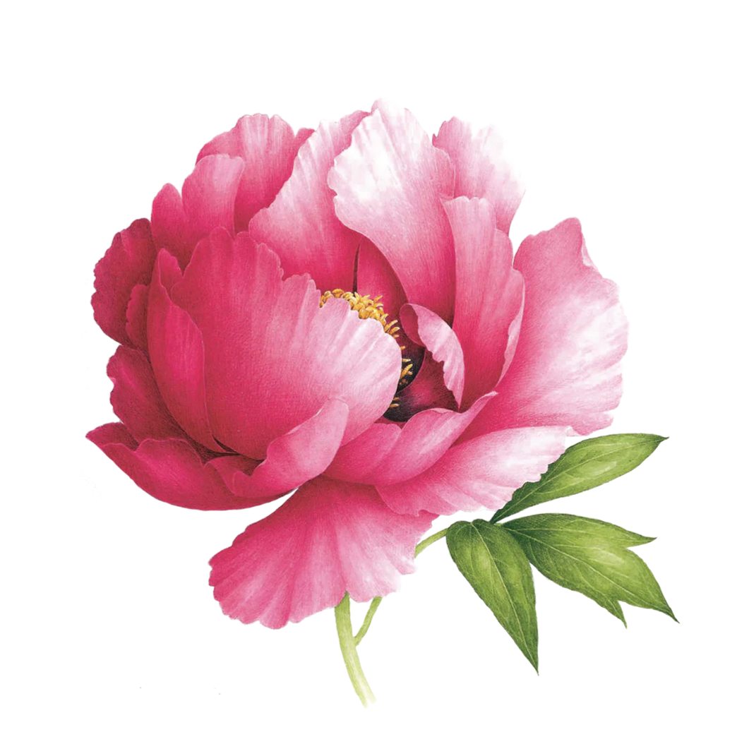 Pink Peony (Scented) Tattoo Pair
