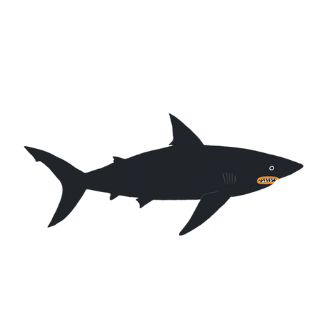 Dark Waters Shark Tattoo Pair -Lorien Stern