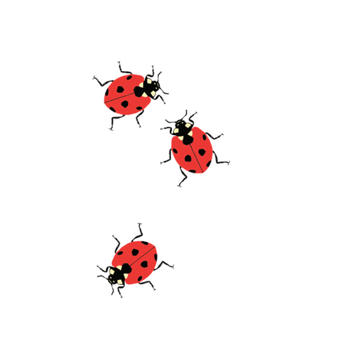 Ladybugs Tattoo Pair -Lorien Stern