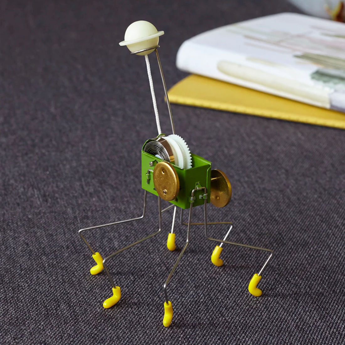 Oahaca Wind Up