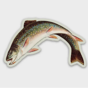 Scandalized Rainbow Trout - Gap Filler Sticker