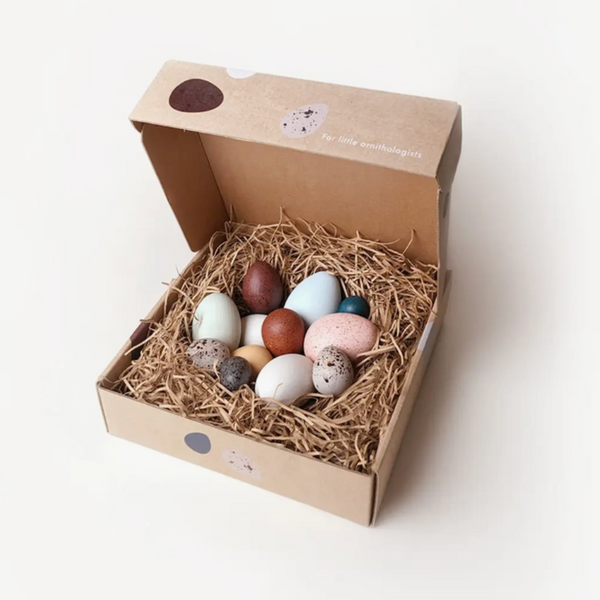 A Dozen Bird Eggs in A Box
