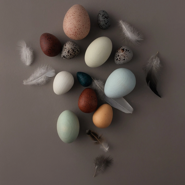 A Dozen Bird Eggs in A Box