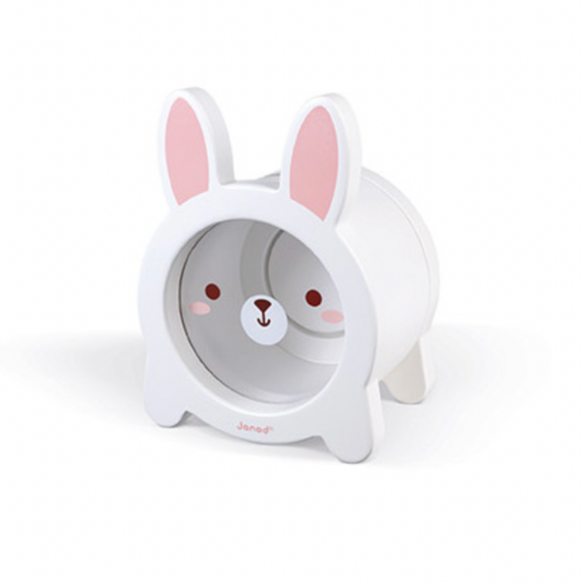 Rabbit Money Box