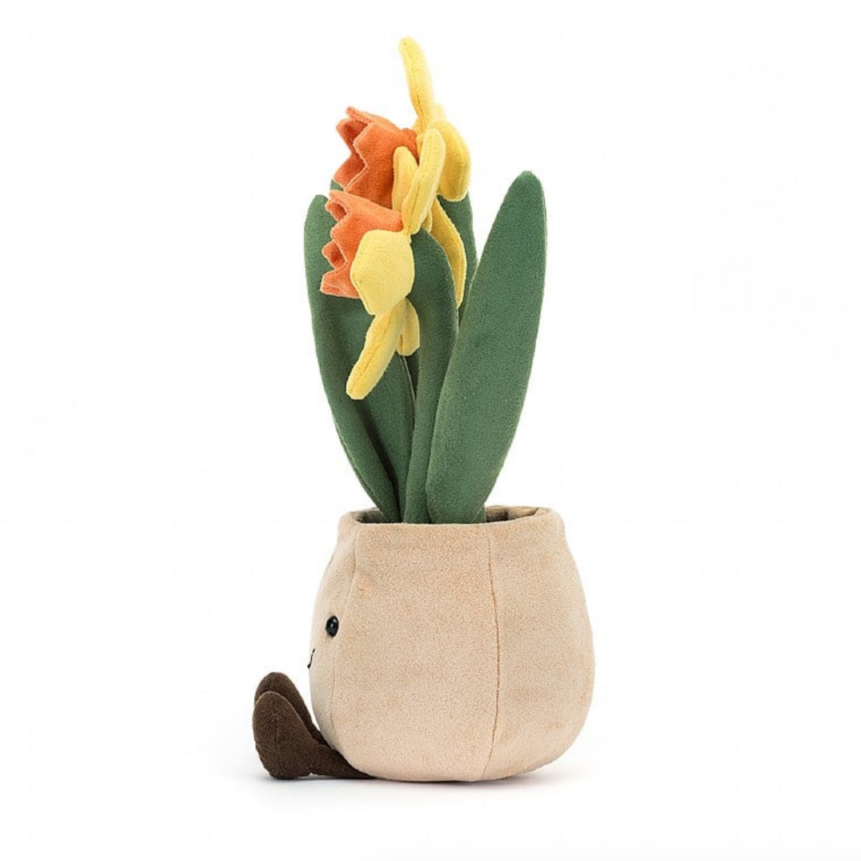 Amuseable Daffodil Pot