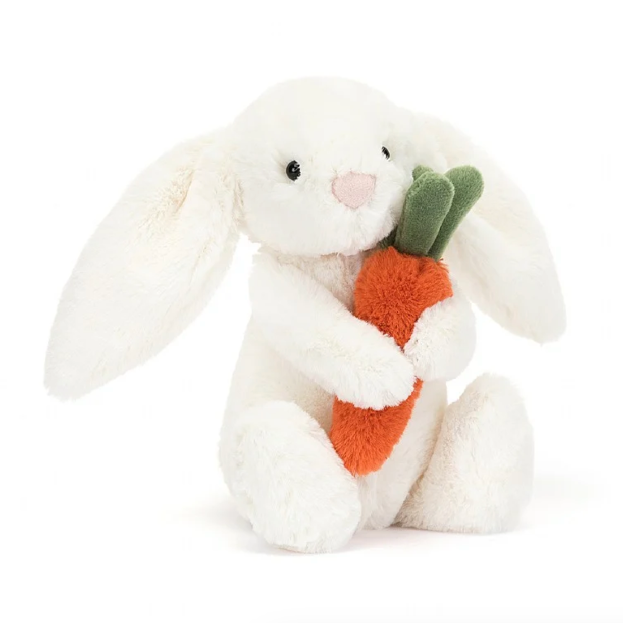 Bashful Bunny with Carrot