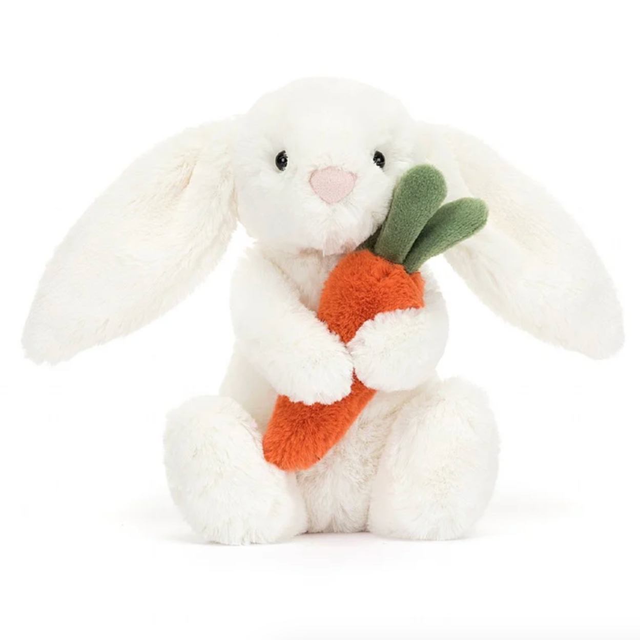 Bashful Bunny with Carrot