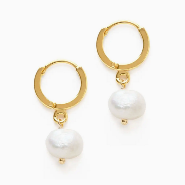 Fresh Water Pearl On Huggie Hoops