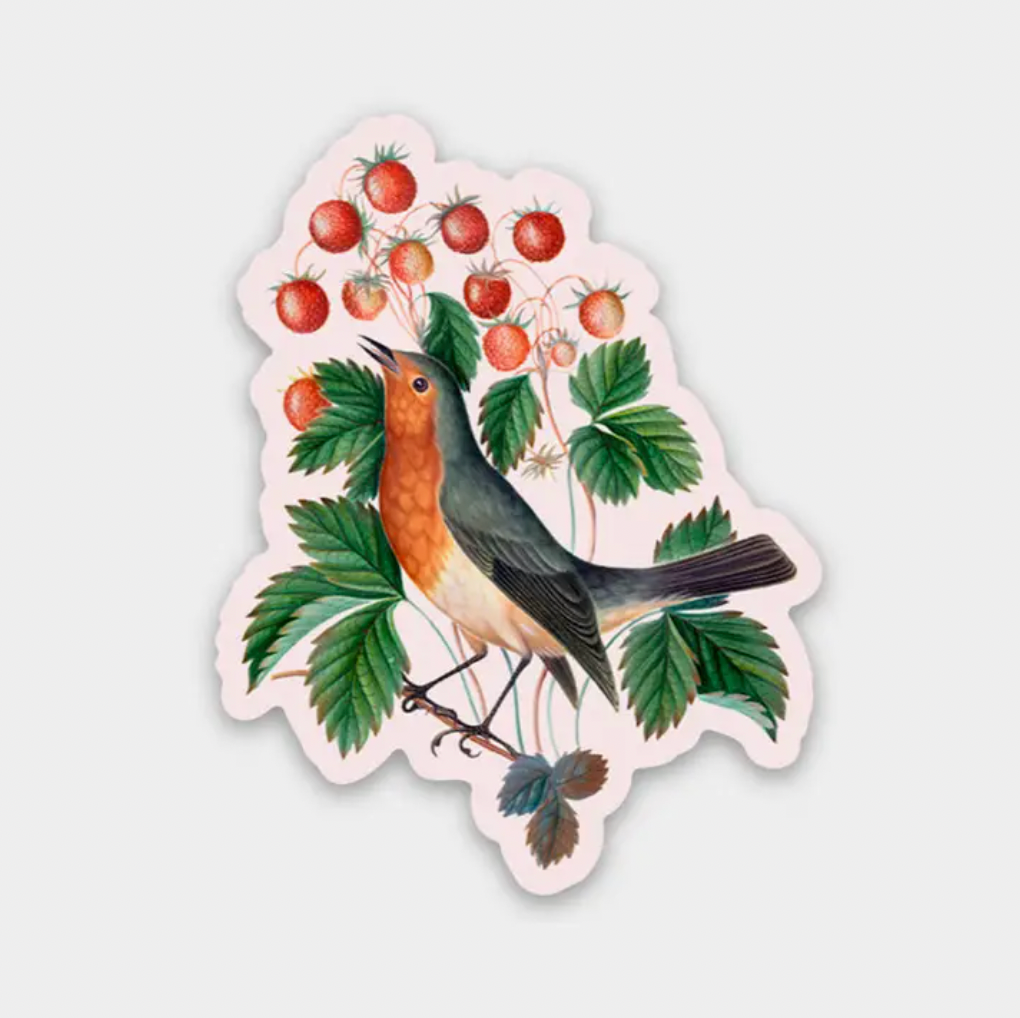 Determined Robin - Gap Filler Sticker