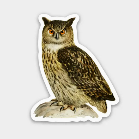 Disgusted Owl - Gap Filler Sticker