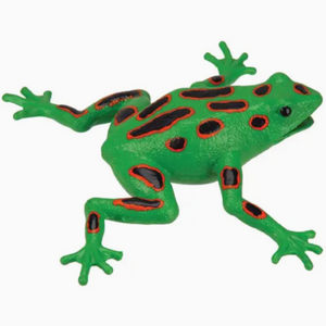 Frog Squishy Toy