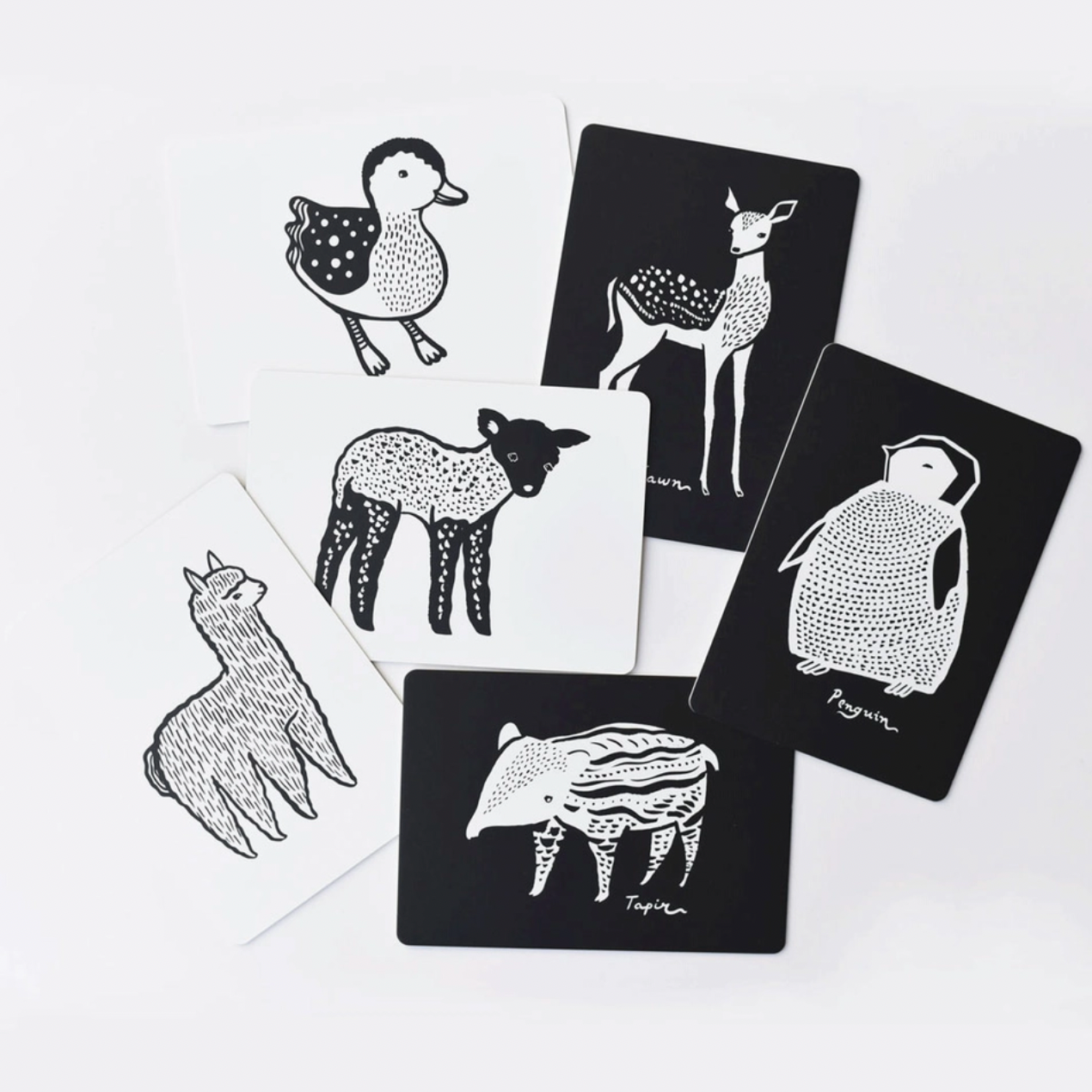 Baby Animal Art Cards