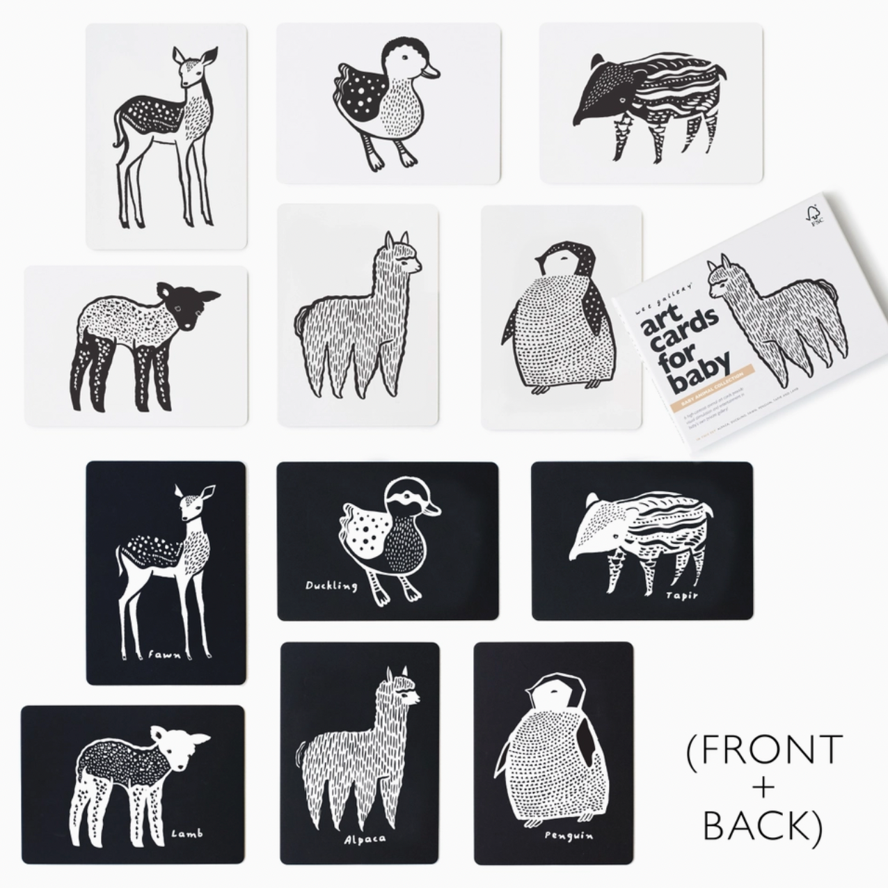 Baby Animal Art Cards