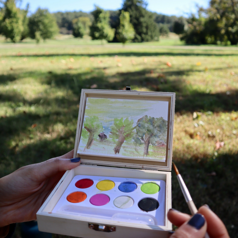 Huckleberry Landscape Paint Kit (6-12yrs)