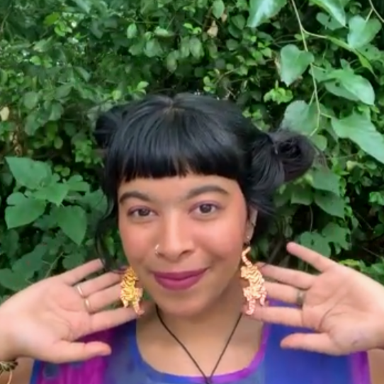 Tigers Earrings